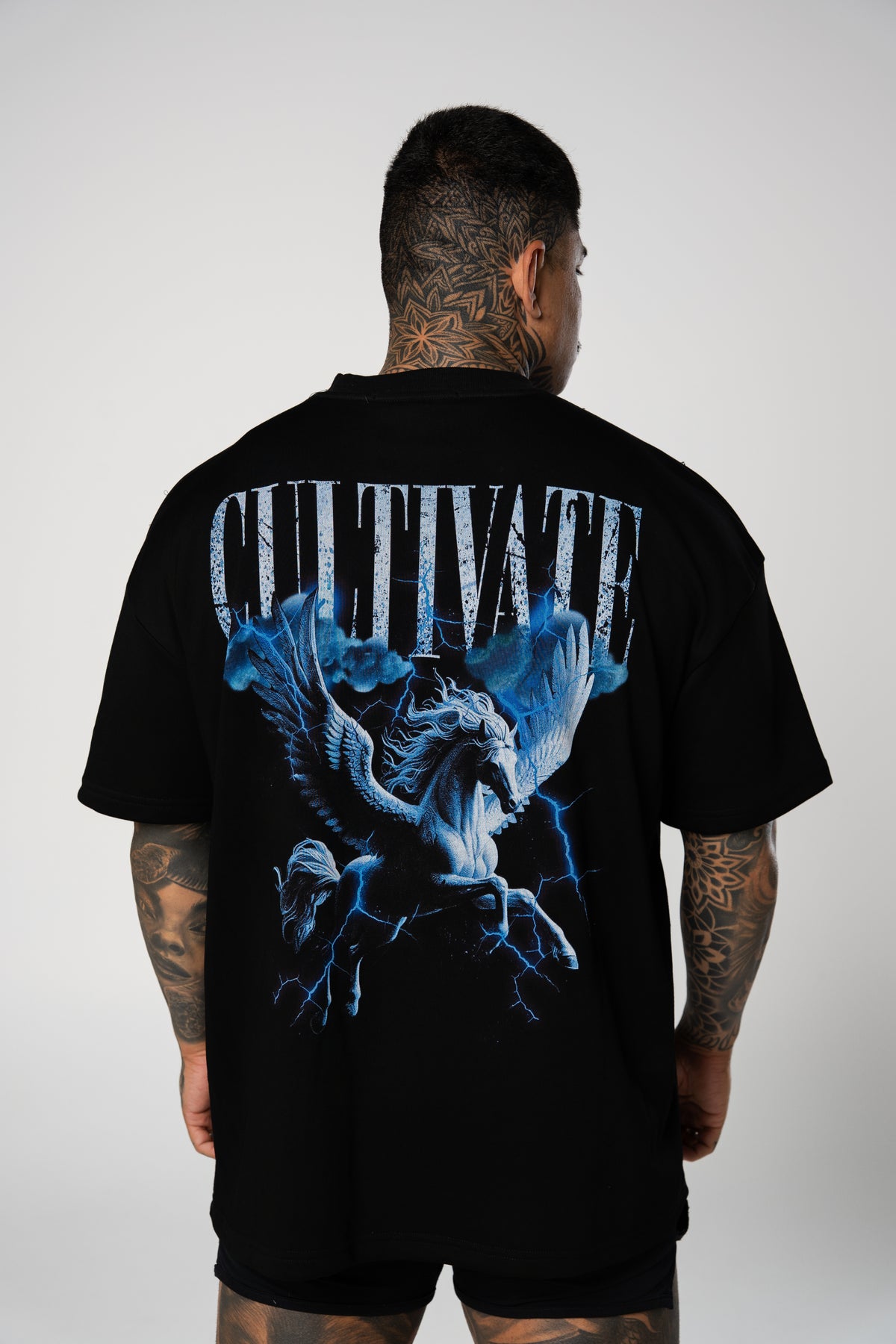 CULTIVATE  - PEGASUS